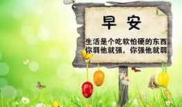 吃瓜爆料正能量文案短句,那些温暖人心的吃瓜瞬间